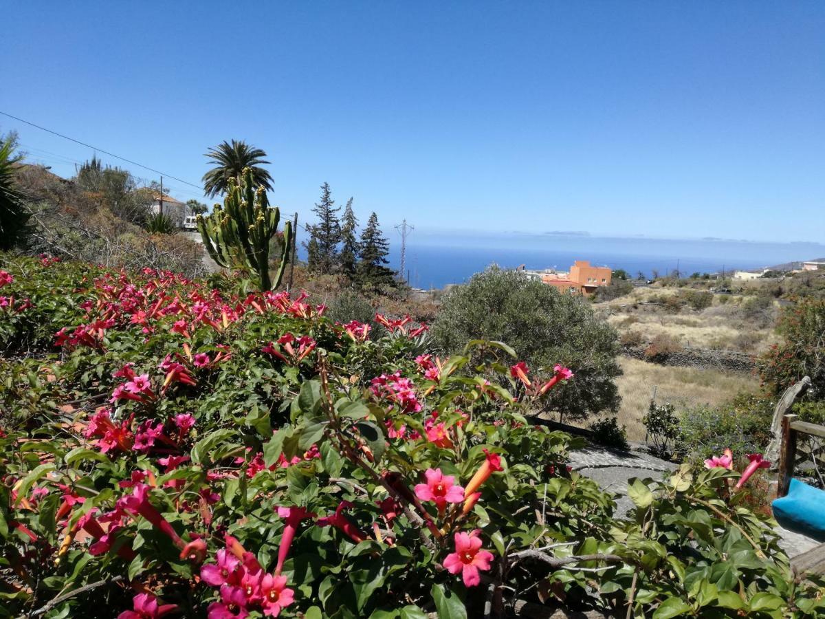 Finca Alda 로스 야노스 데 아리다네 외부 사진
